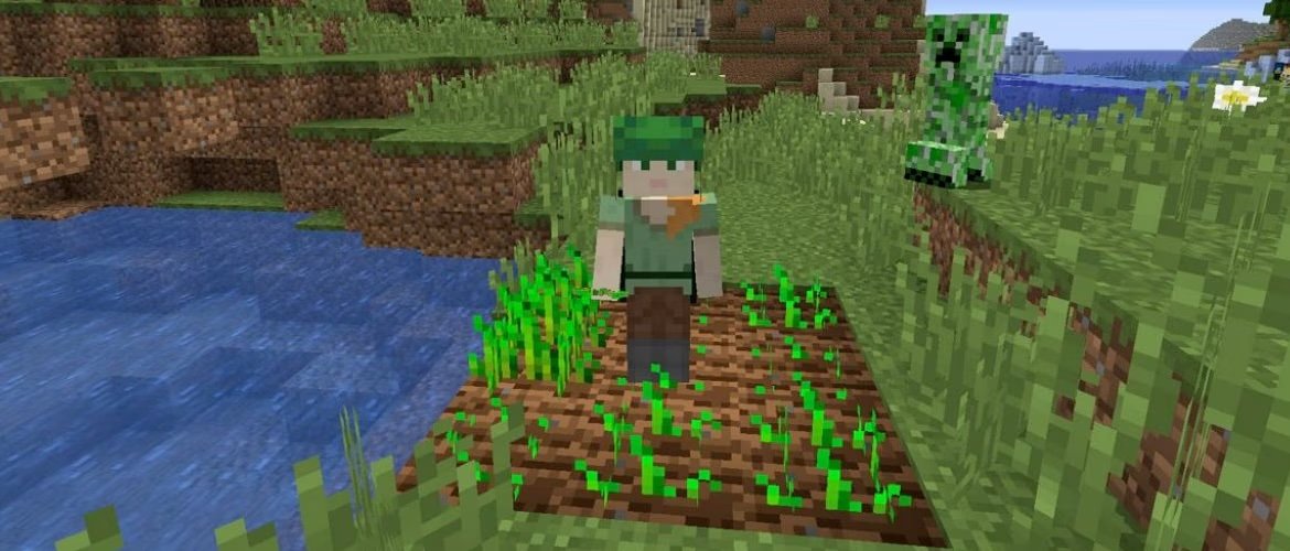 Illustration for How to verify a Minecraft seed before planning a build